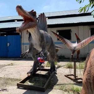 China Exhibitions Realistic Animatronic Dinosaur 6m Spinosaurus Model on sale
