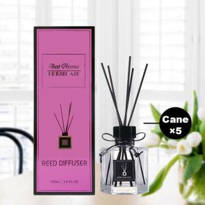 OEM Aroma Reed Diffuser Affordable Air Freshener Reed Diffuser