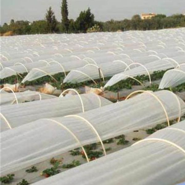 Buy cheap 200gsm Agriculture Mulching Sheet PP Non Woven Material from wholesalers