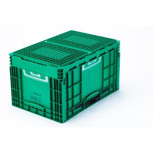 Collapsible Storage Plastic Crate for Fruit Moving Customized Color Solid Box