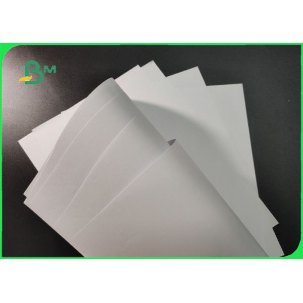 Quality ISO Approved 70g 80g White Woodfree Paper Roll For Brochure Smooth for sale