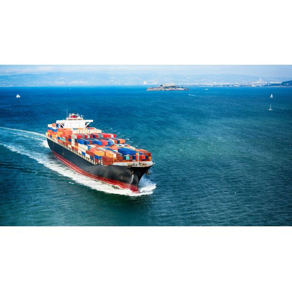 Quality MATSON COSCO Customs Brokerage & Clearance Professional Customs Clearance Agent for sale