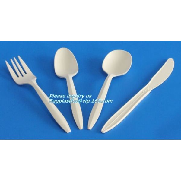 Quality 5.5 inch BPA FREE Spork Biodegradable Plastic PLA Fork Spoon Combination Corn Starch Compostable Disposable bagplastics for sale