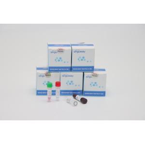 Buy cheap Ultrafast Thalassemia Virus RT PCR Testing Kit Lab Using TB PCR Kit from wholesalers
