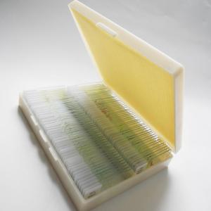 Students Education 100pcs Set Professional Prepared Microscope Slides In Plastic
