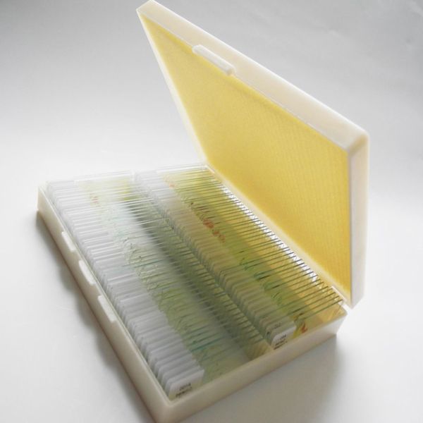 Students Education 100pcs Set Professional Prepared Microscope Slides In Plastic