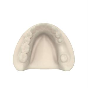 Advanced Opposite Jaw Model Resin Customized Dental Model Resin