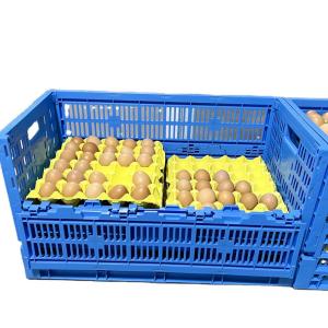 Foldable and Collapsible Egg Crate Meshy Box for Convenient Egg Transportation