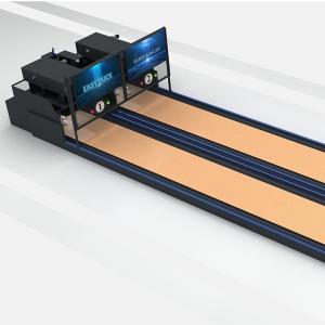 Buy cheap Human Bowling Lane With Bowling Pins Set For Fitness Exercise Body Manufactured By Oem product