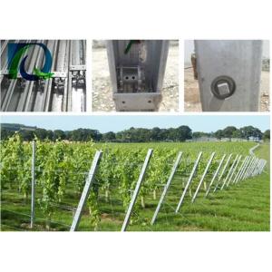 Buy cheap 1.5mm 54X30MM Grape Trellis Post With 2 Side H Holes from wholesalers