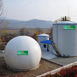 N2O Gobar Gas Balloon Biogas Plant Project Anaerobic Digestion Tank