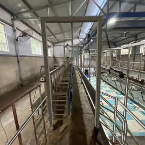 Buy cheap Digital Electric Meter Sheep Goat Milking Parlour New Condition Equipment from wholesalers