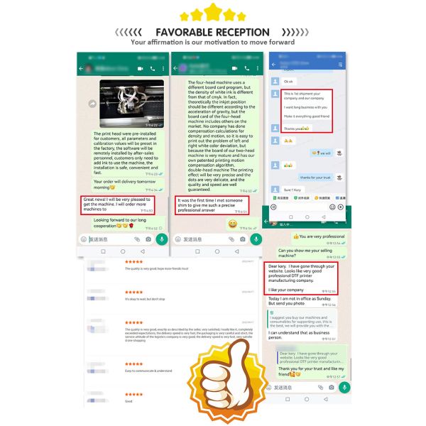 CMYK +W Color 40CM A2 DTF Printer With Spill Powder Machine
