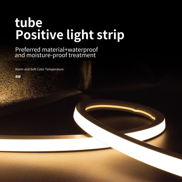 Buy cheap Neon Silicone Sleeve SMD 2835 LED Strip Light 12V 24V Low Voltage from wholesalers