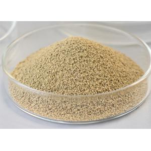 China Ventilated and Protected from Light at 25C Enzyme Food Additive with 000-1 Activity on sale