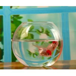 hand blow glass terrarium fish tank decoration glass container 10cm diameter and