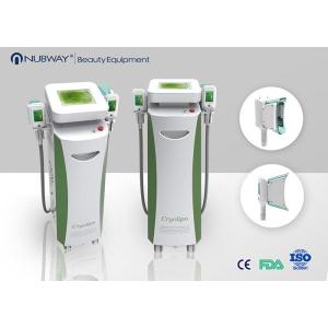 Buy cheap 2 handles effective Fat Freezing/body shaping Cryolipolysis Slimming Machine from wholesalers