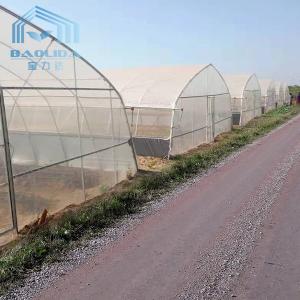 Buy cheap Hot Aluminized Zinc Single Span Plastic Film Greenhouse 8m Width from wholesalers