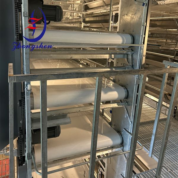 Chicken Farming Manure Removal Poultry Manure Conveyor Belt