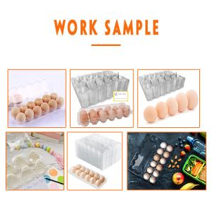 1.5mm Thickness Tray Forming Equipment Egg Container With Lid Thermoforming