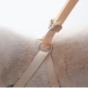 Soft No Pull Adjustable Breathable Mesh Leash And Cat Chest Harness For Puppy