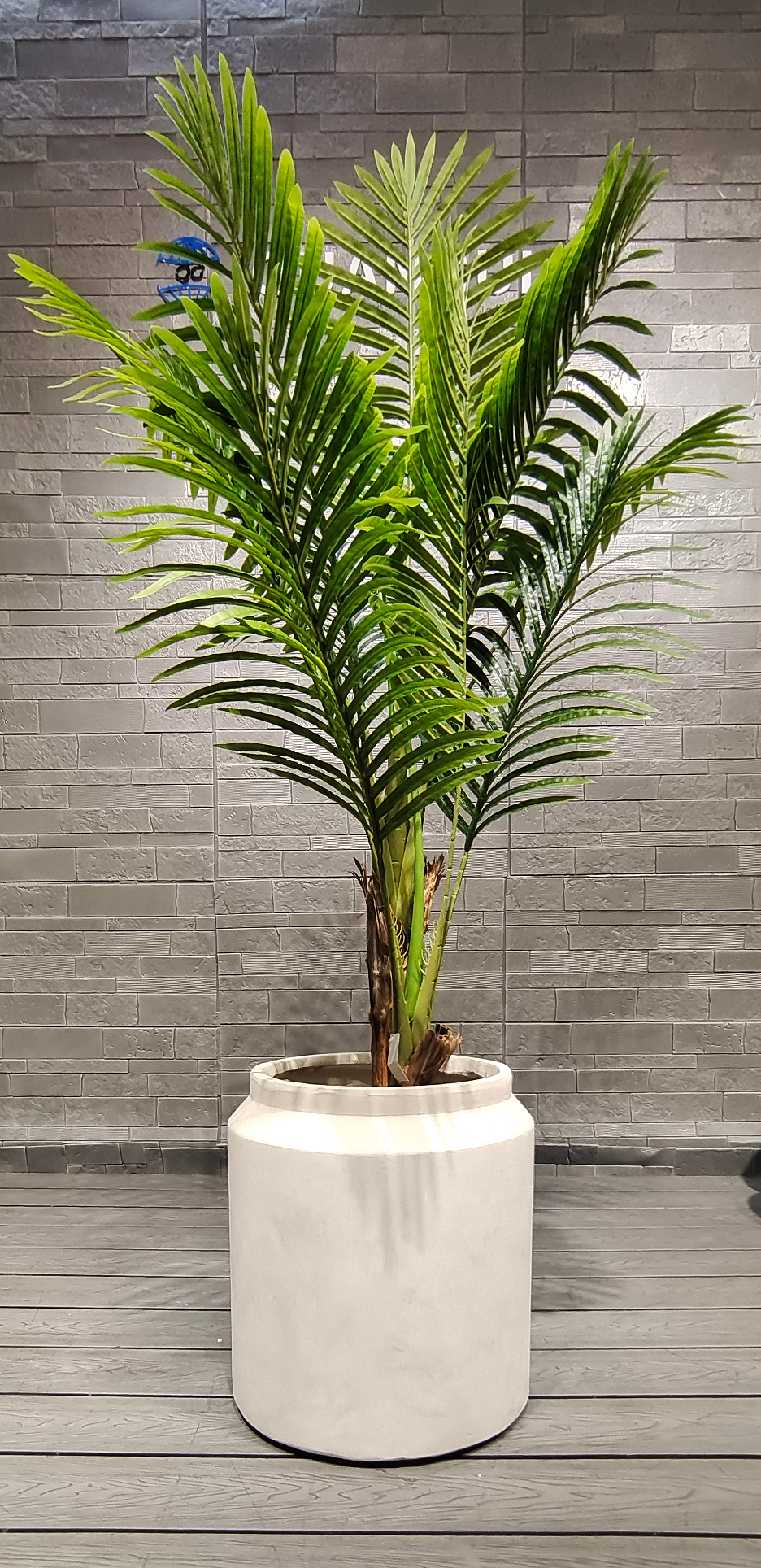 Light Beige Straight Cylinder Fiber Clay Outdoor Planter Architectural Landscaping Design