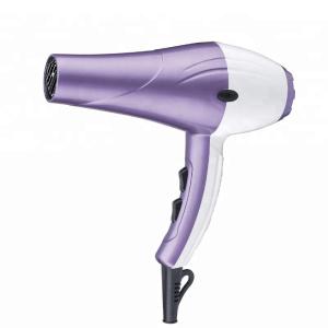 DC Motor Professional Hair Blow Dryer With Concentrator Diffuser Ionic Function
