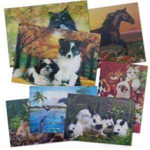 PLASTIC LENTICULAR PET 3D Lenticular Plastic Printing moving cards by 3d offset