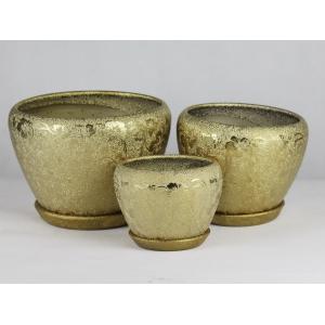 Transform Your Garden With Our Stylish And Durable Ceramic Pots Shop Now