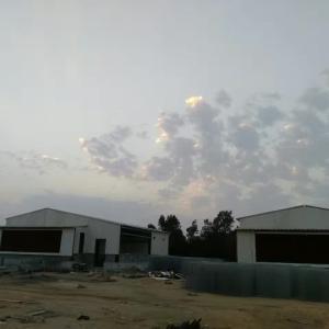 Buy cheap Pre Engineered Livestock Farm House Chicken Steel Structure Warehouse from wholesalers