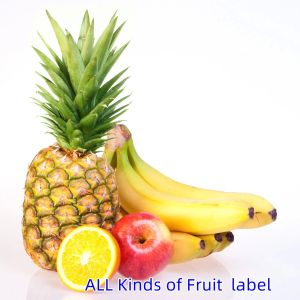 Buy cheap Premium Clear Address Labels for Wedding Invites and More from wholesalers