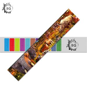 Buy cheap Gift Custom Lenticular Printing / 3d Lenticular Ruler Egypt Design Printing from wholesalers