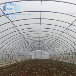 Buy cheap Farming Singlespan Tunnel Greenhouse With Irrigation And Hydroponic Growing System from wholesalers