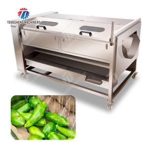 Buy cheap Ginger Potato Carrot Taro Sweet potato Yam Saiko persimmon papaya horseshoe Sealed Cover Type Peeling Machine Wash Washer Washing Cleaning from wholesalers