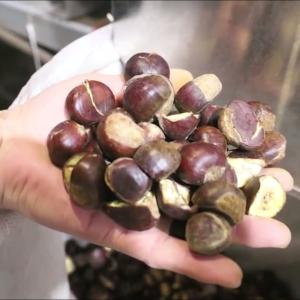 Buy cheap Optimize Your Output with Our High Capacity, AI Powered Chestnut Sorting Machine, Featuring 8 Lanes + 8 Outlets and Made from Durable 304 Stainless from wholesalers