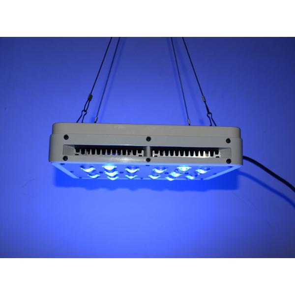 Quality Cidly New hot selling 5W chip Led Hydroponic Grow hydroponic grow rooms and tent Lights for sale