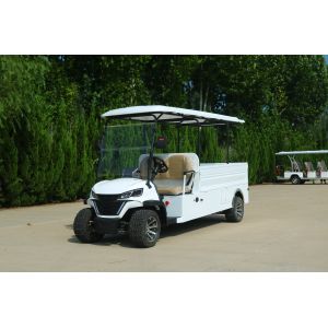 Buy cheap White 2 Seat Cargo Golf Cart with Lithium Battery CE Certification from wholesalers