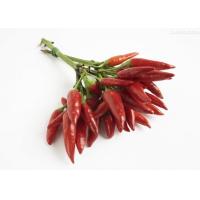 Buy cheap Non Irradiated Mild Dried Red Chilies Stemmed Chili Pods Zero Additive product