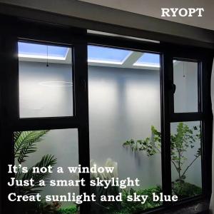 2700K-6500K Dimmable Skylight Lamp with Remote Google Assistant and Full Scene