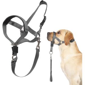Buy cheap Dog Head Collar No Pull Training Tool For Dogs On Walks Includes Free Training Guide from wholesalers