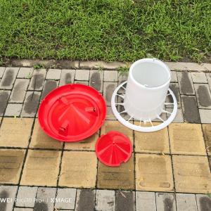 Automatic Plastic Chicken Feeder Capacity 12L Red With Lid