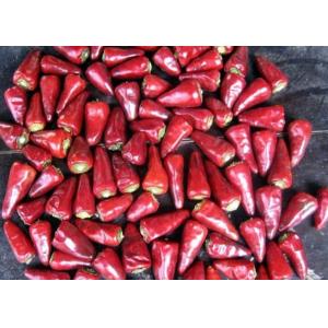 Buy cheap Stemmed Heaven Facing Chilli Culinary Chaotian Dry Red Chilli from wholesalers