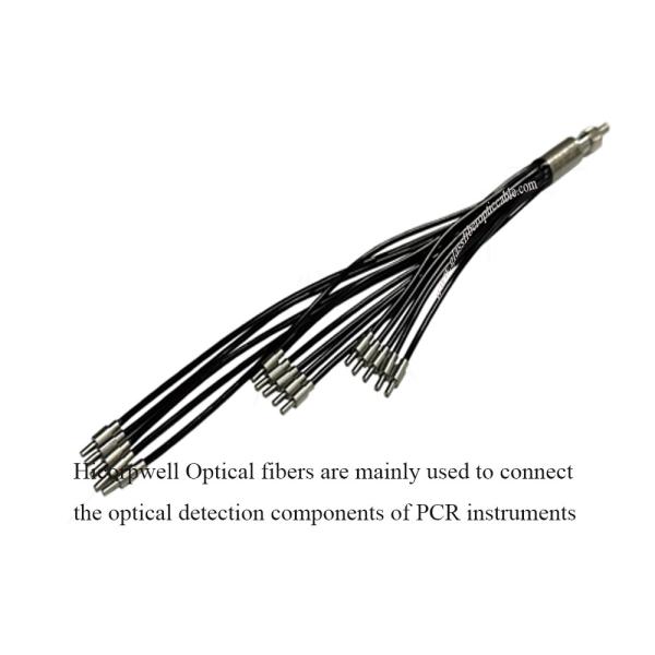 Buy cheap Polymerase chain reaction (PCR) instruments PCR Optical fibers Connect the optical detection components of PCR instruments from wholesalers