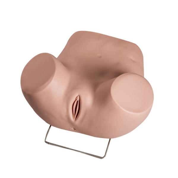 Buy cheap PVC Gynecological Examination Model With Replacement Cervicals from wholesalers