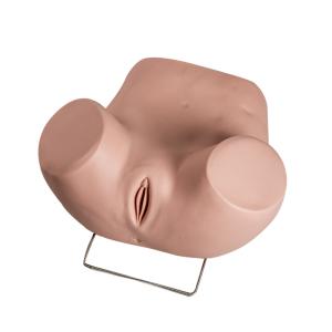 Buy cheap PVC Gynecological Examination Model With Replacement Cervicals from wholesalers