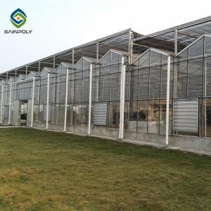 Buy cheap Wind Galvanized Steel 12m Multi Span Glass Greenhouse from wholesalers