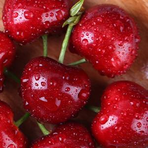 Buy cheap 6 Channels Cherries Silver Sorting And Grading Machine 360 Degree Rotational Scanning from wholesalers