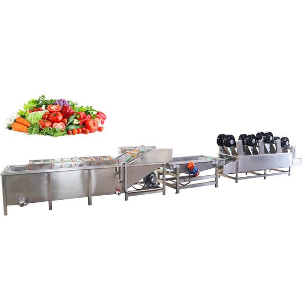 Quality Commercial Fruit Vegetable Processing Machine Small Automatic  300-1000kg/h for sale
