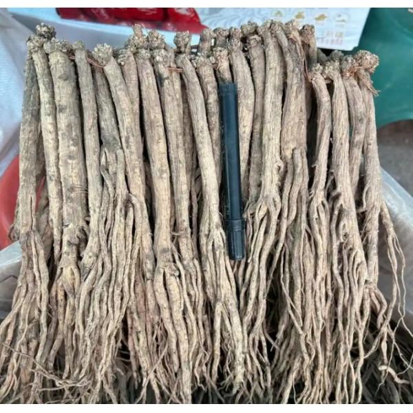 Buy cheap Dang Shen Codonopsis Pilosula Root Chinese Herbal Medicines from wholesalers
