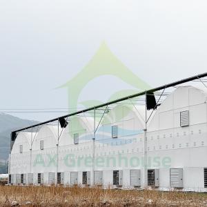 Multi-span Agricultural Poly Tunnel Plastic Greenhouse with Steel Tructure and